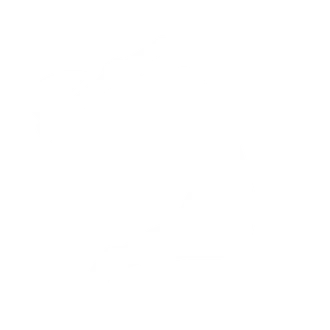 Berzerk